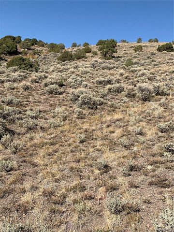 5079&5087 Delancey Road, Fort Garland, CO 81133