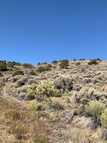 5079&5087 Delancey Road, Fort Garland, CO 81133