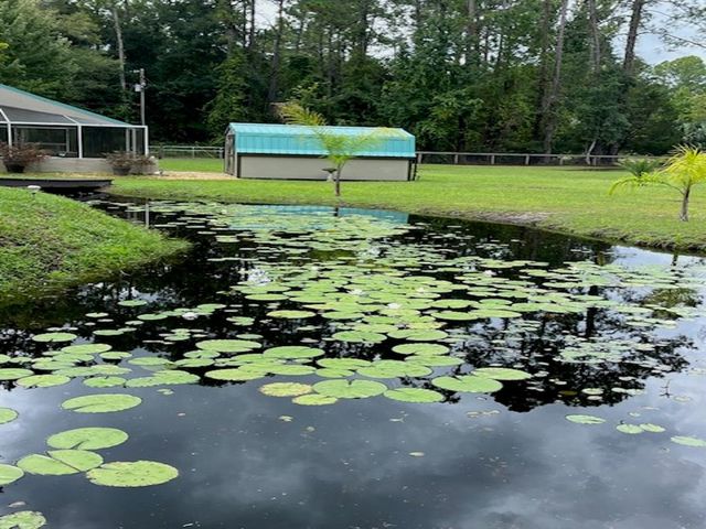 14090 NE 156TH LANE, Fort Mc Coy, FL 32134