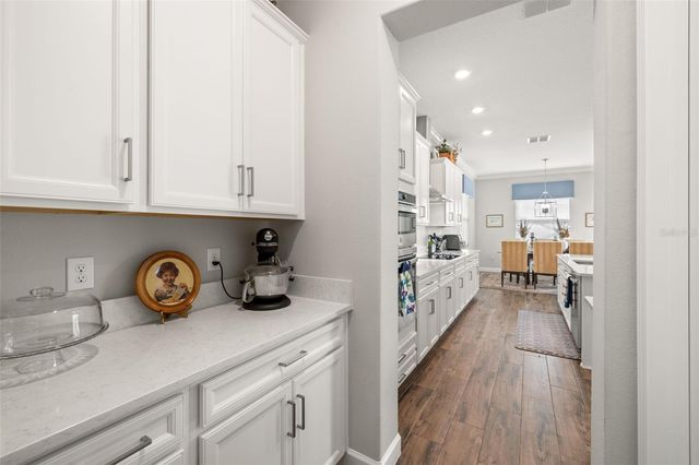 16938 SCUBA CREST STREET, Wimauma, FL 33598