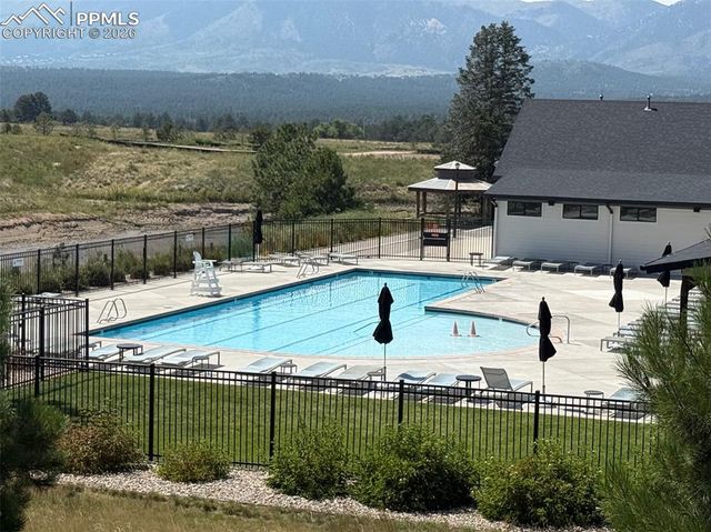 11590 Spectacular Bid Circle, Colorado Springs, CO 80921