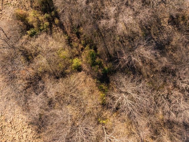 000 West Farm Road 148, Springfield, MO 65802