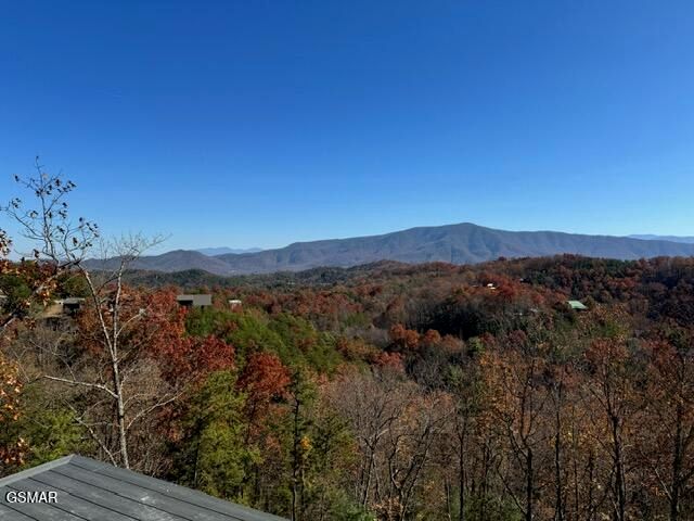 4420 Stackstone Road, Sevierville, TN 37862