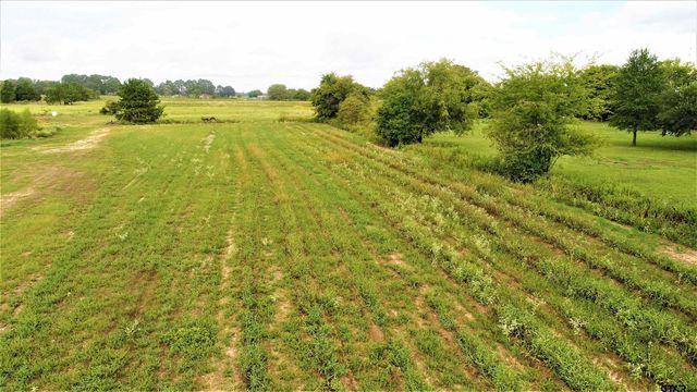 TBD E FM 227, Grapeland, TX 75844