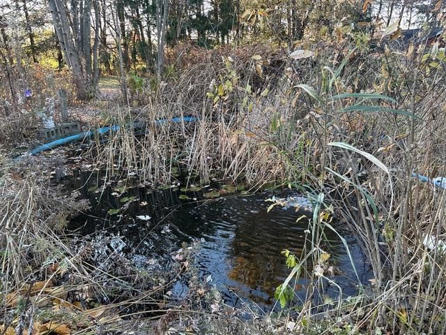 1198 N Babcock Road, Chesterton, IN 46304