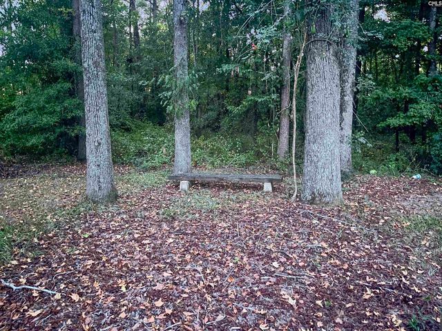 704 Congaree Church Road, Gadsden, SC 29052