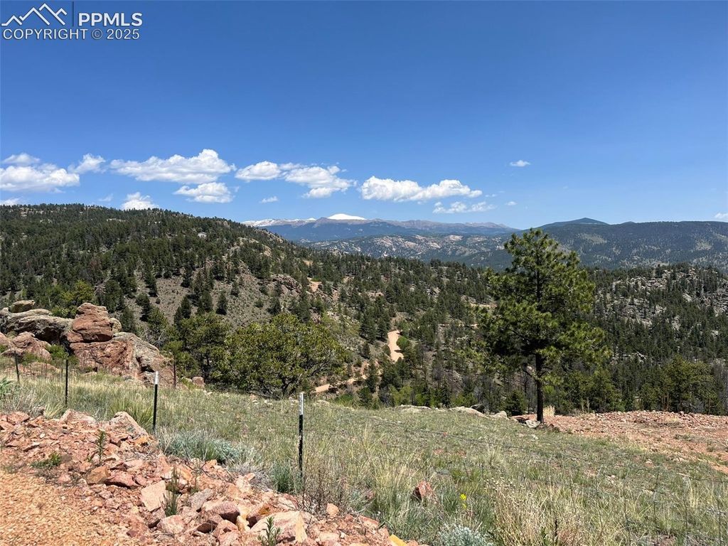 160 Chateau West Drive, Florissant, CO 80816 — exterior