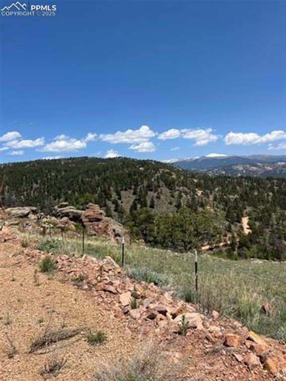 160 Chateau West Drive, Florissant, CO 80816 — photo 2