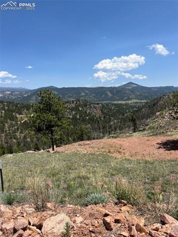 160 Chateau West Drive, Florissant, CO 80816 — photo 3