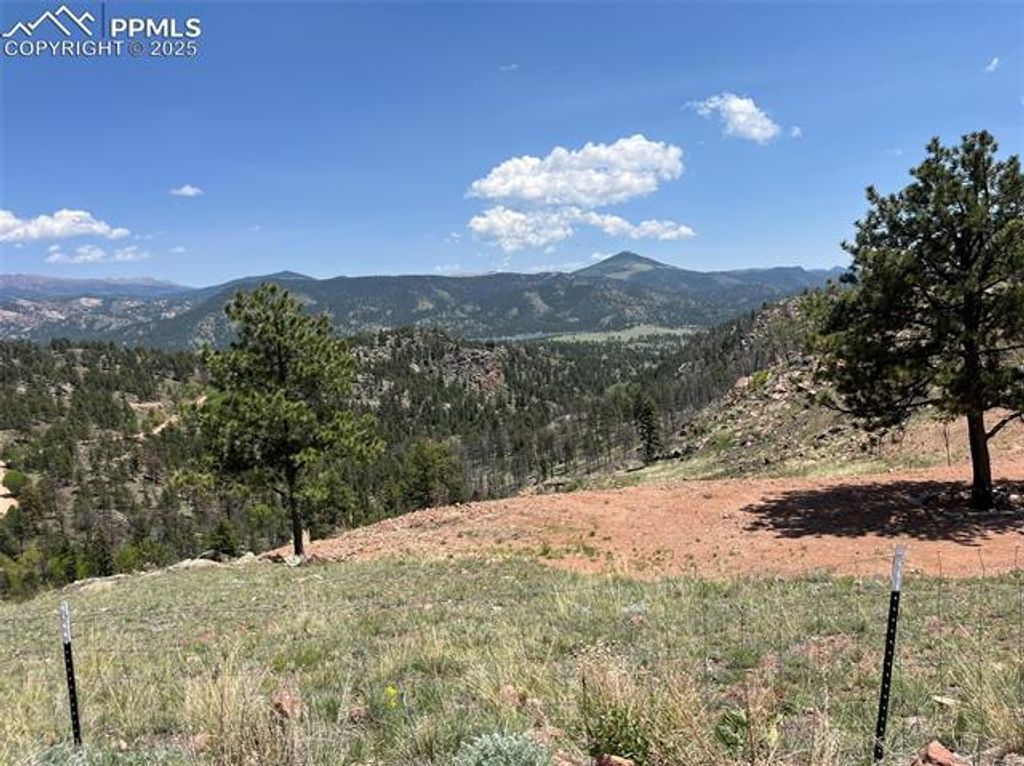 160 Chateau West Drive, Florissant, CO 80816 — photo 4