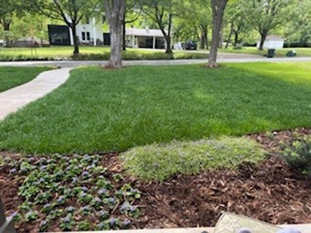 934 N Park Avenue, Fayetteville, AR 72701