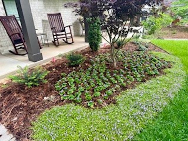 934 N Park Avenue, Fayetteville, AR 72701