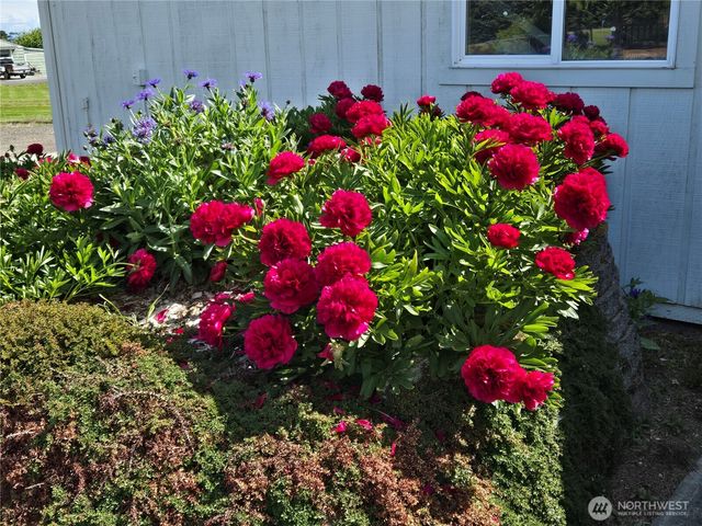 52 Libby Street, Sequim, WA 98382