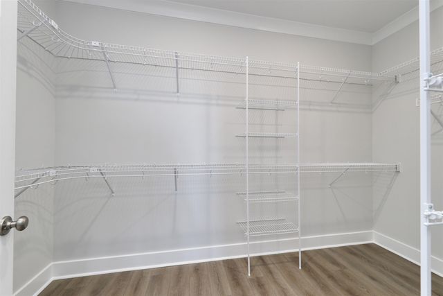 6260 Zoe Way, Myrtle Beach, SC 29588