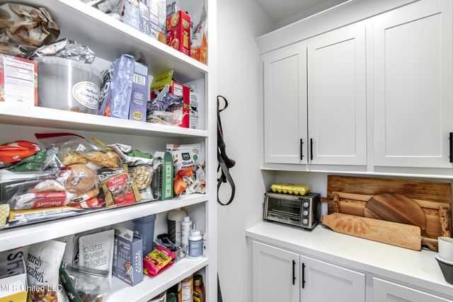 209 Herons Bay Circle, Madison, MS 39110