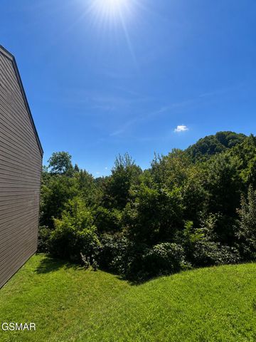 1380 Ski View Drive, Gatlinburg, TN 37738