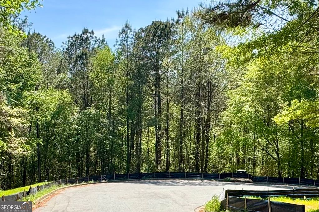 145 Constitution Pointe, Dallas, GA 30132