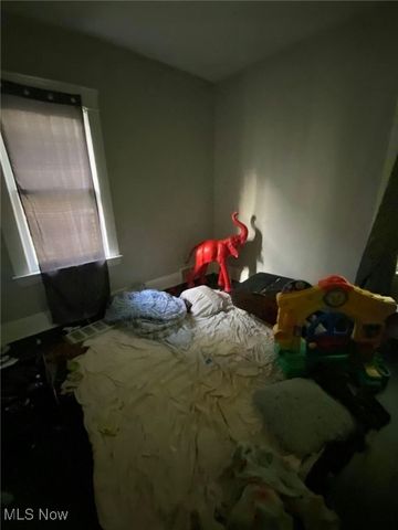 639 E 124th Street, Cleveland, OH 44108