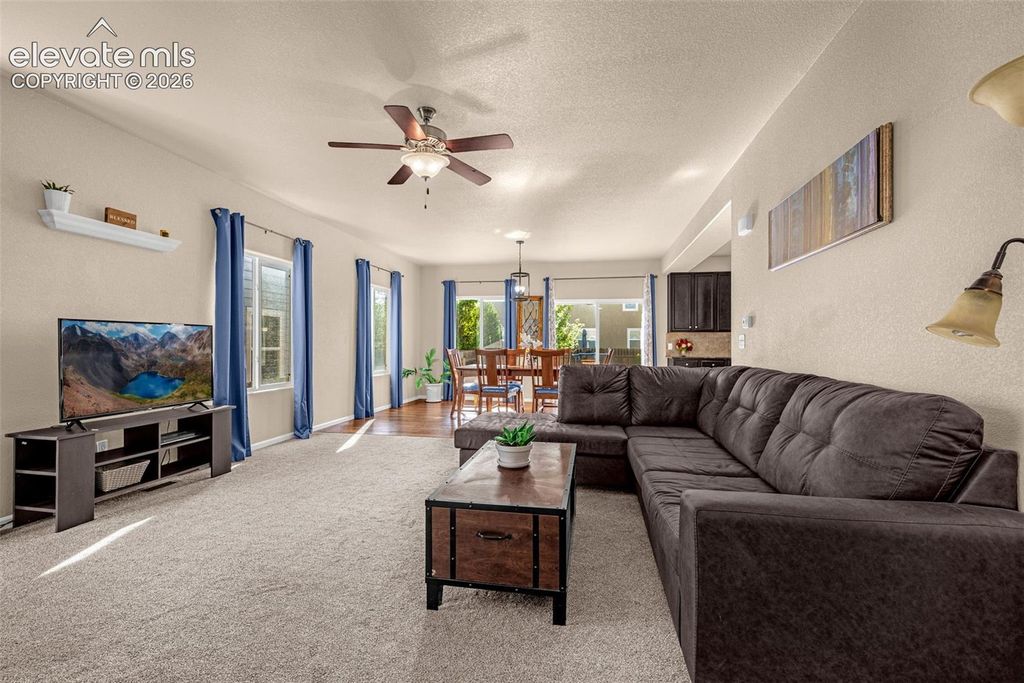 7886 Springwood Terrace, Colorado Springs, CO 80908 — photo 5