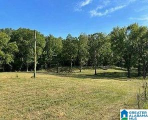 2450 SPRING CREEK ROAD, Montevallo, AL 35115