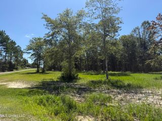 Morningside Drive, Vancleave, MS 39565