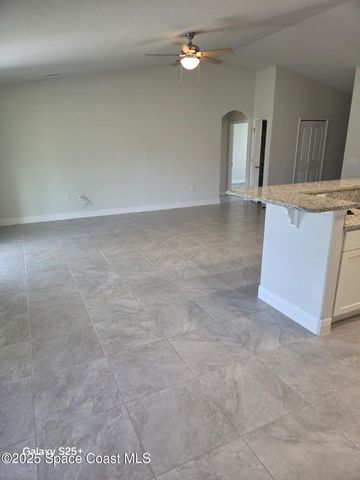 2437 Hagoplan Avenue SW, Palm Bay, FL 32908