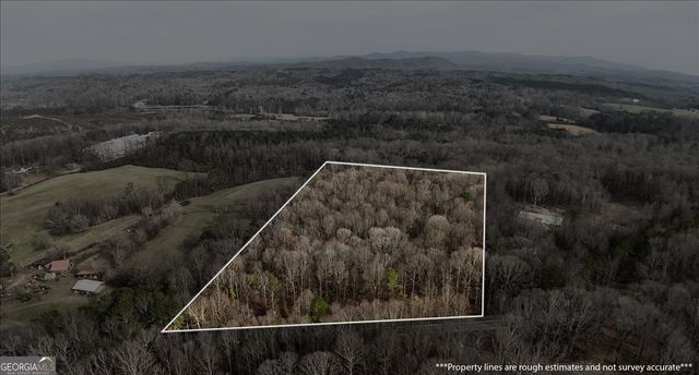 0 Swan Bridge Road, Talking Rock, GA 30175