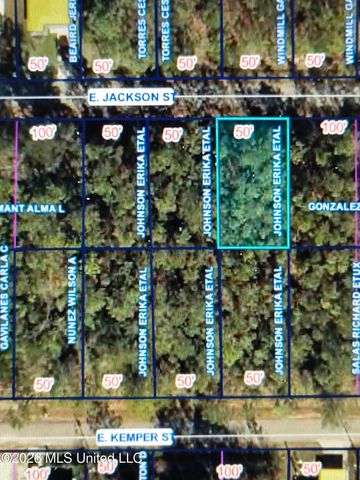 Nhn E Jackson Street, Bay Saint Louis, MS 39520