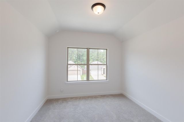 28810 Mount Bonnell Lane, New Caney, TX 77357