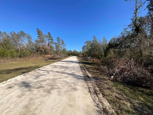 Vacant SE Blackhawk Drive, Lee, FL 32059