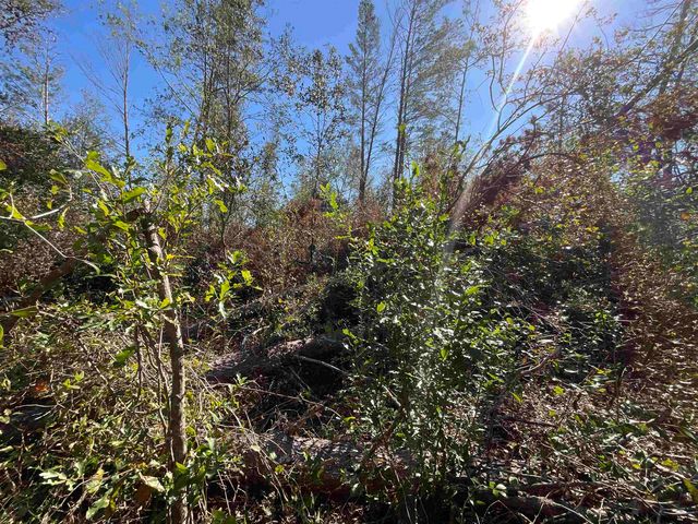 Vacant SE Blackhawk Drive, Lee, FL 32059