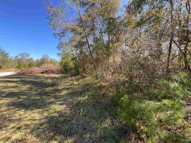Vacant SE Blackhawk Drive, Lee, FL 32059