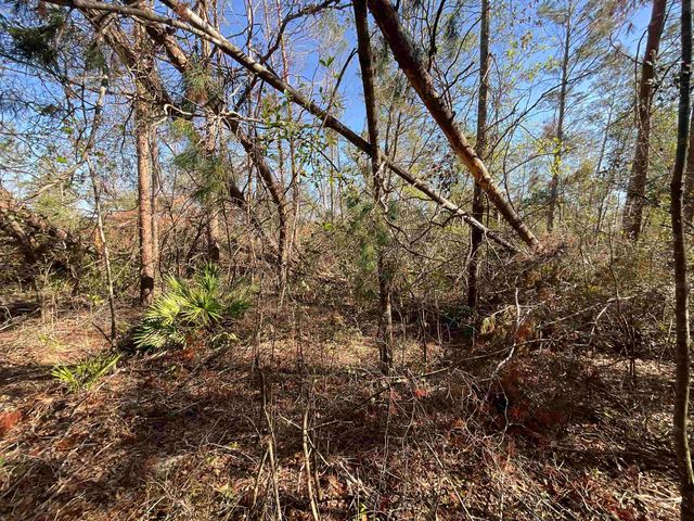 Vacant SE Blackhawk Drive, Lee, FL 32059