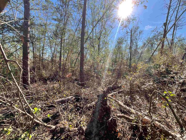 Vacant SE Blackhawk Drive, Lee, FL 32059