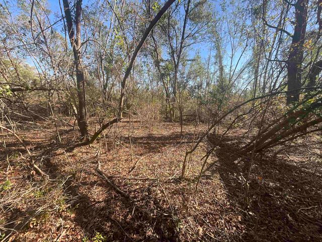 Vacant SE Blackhawk Drive, Lee, FL 32059