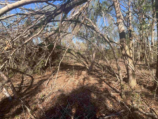 Vacant SE Blackhawk Drive, Lee, FL 32059