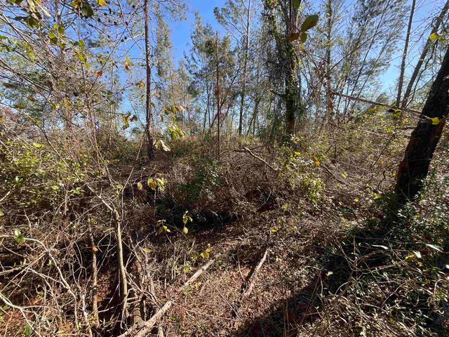 Vacant SE Blackhawk Drive, Lee, FL 32059