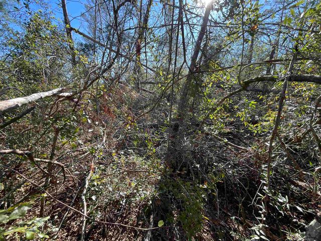 Vacant SE Blackhawk Drive, Lee, FL 32059