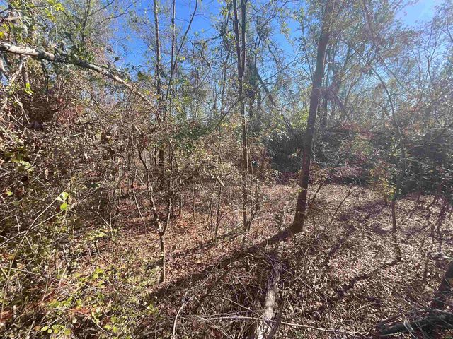 Vacant SE Blackhawk Drive, Lee, FL 32059
