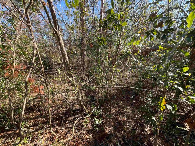 Vacant SE Blackhawk Drive, Lee, FL 32059