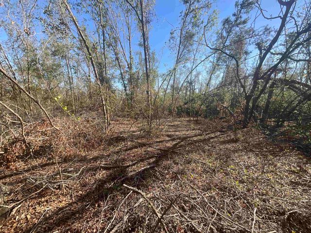 Vacant SE Blackhawk Drive, Lee, FL 32059