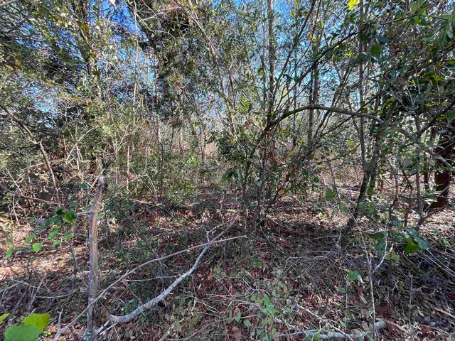Vacant SE Blackhawk Drive, Lee, FL 32059