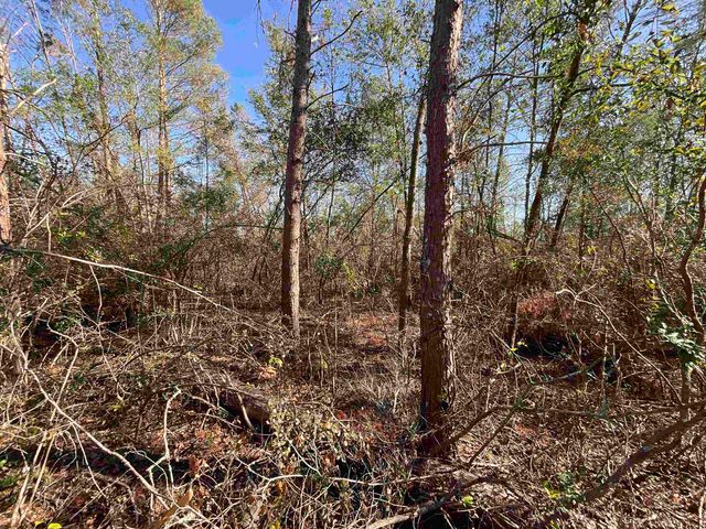 Vacant SE Blackhawk Drive, Lee, FL 32059