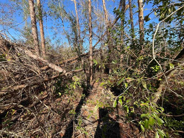 Vacant SE Blackhawk Drive, Lee, FL 32059