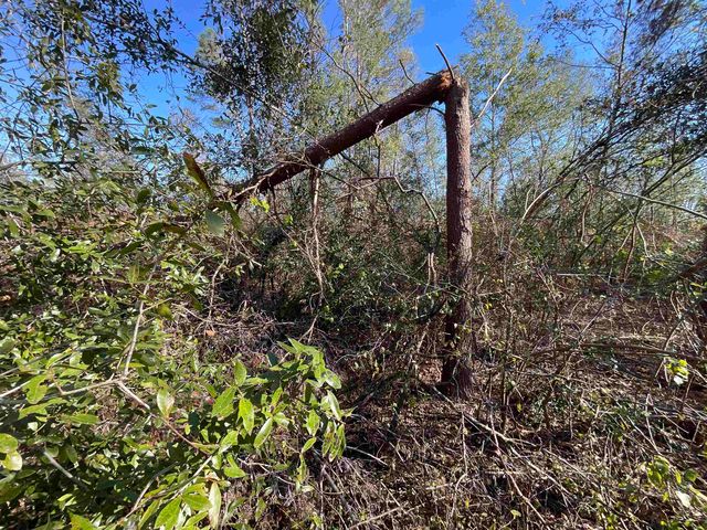Vacant SE Blackhawk Drive, Lee, FL 32059