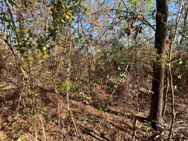 Vacant SE Blackhawk Drive, Lee, FL 32059