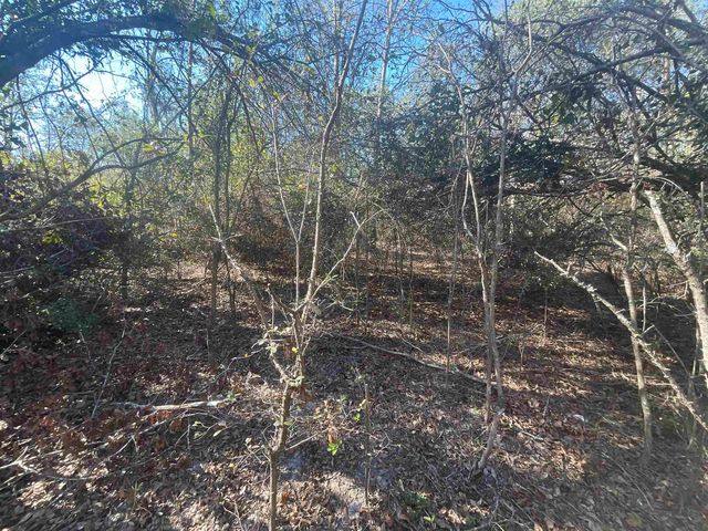 Vacant SE Blackhawk Drive, Lee, FL 32059