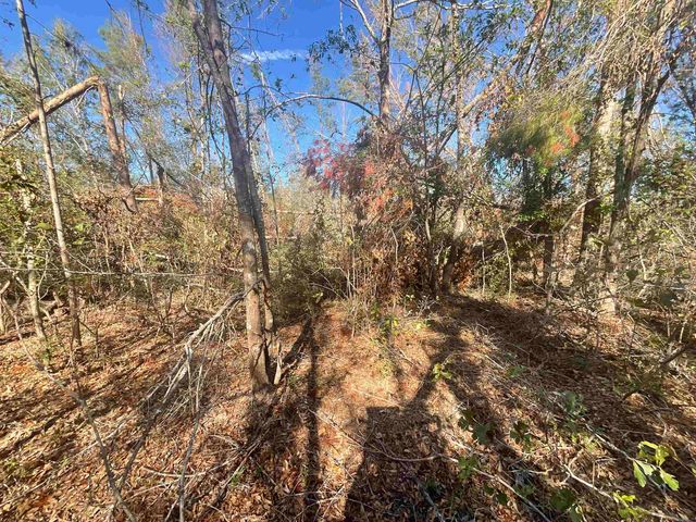 Vacant SE Blackhawk Drive, Lee, FL 32059