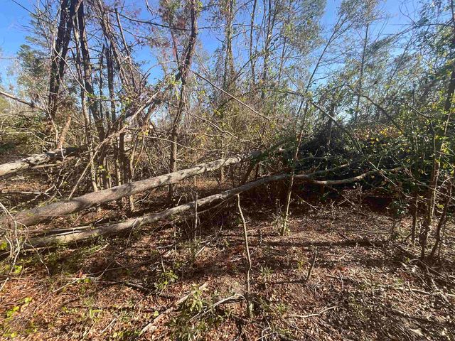 Vacant SE Blackhawk Drive, Lee, FL 32059