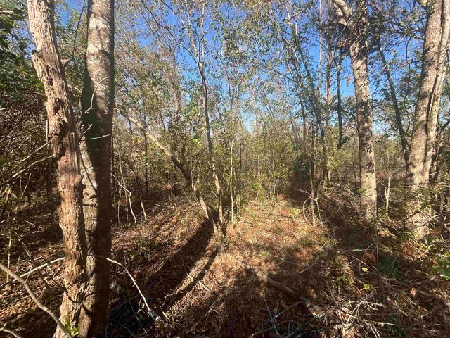 Vacant SE Blackhawk Drive, Lee, FL 32059